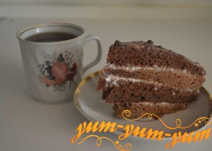 Рецепт бисквитно-шоколадного торта со сметанным кремом