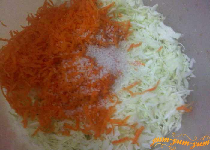 Подготовленную капусту с морковью перекладываем в удобную посуду и засыпаем солью