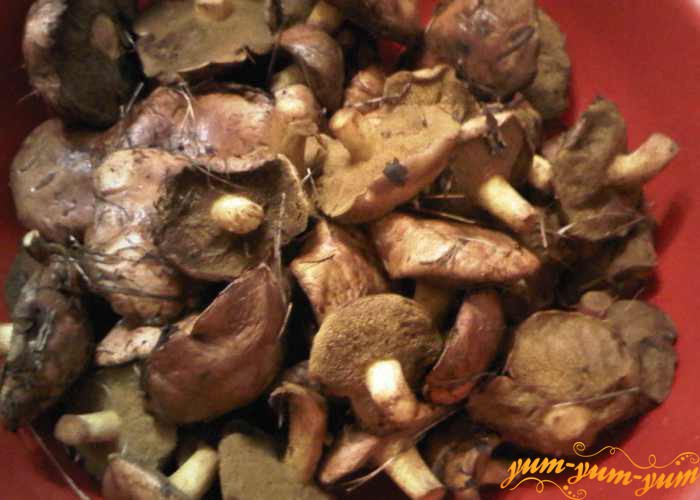 Свежие грибы перебираем