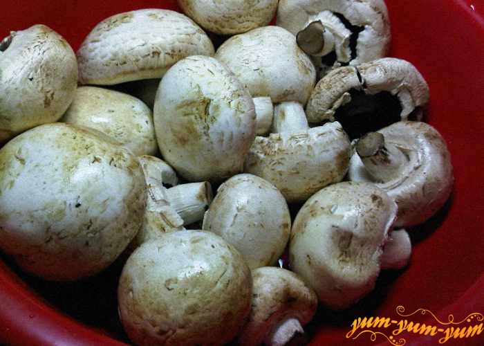 Берем целые свежие грибы