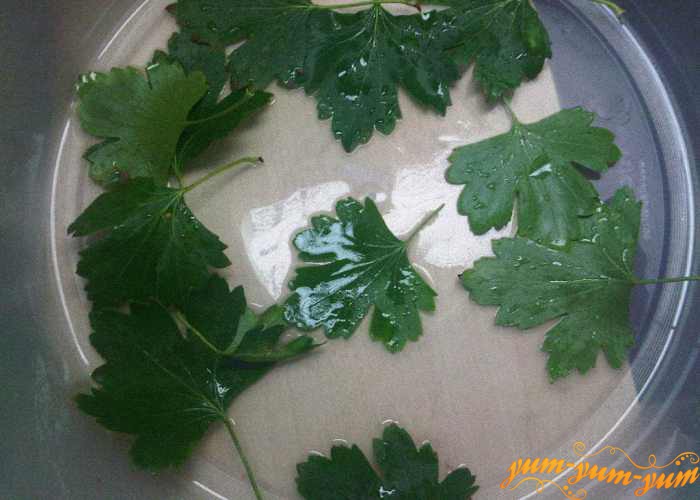 На дно посуды выкладываем листья смородины