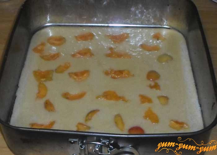 Сверху на тесто положить кусочки абрикосов