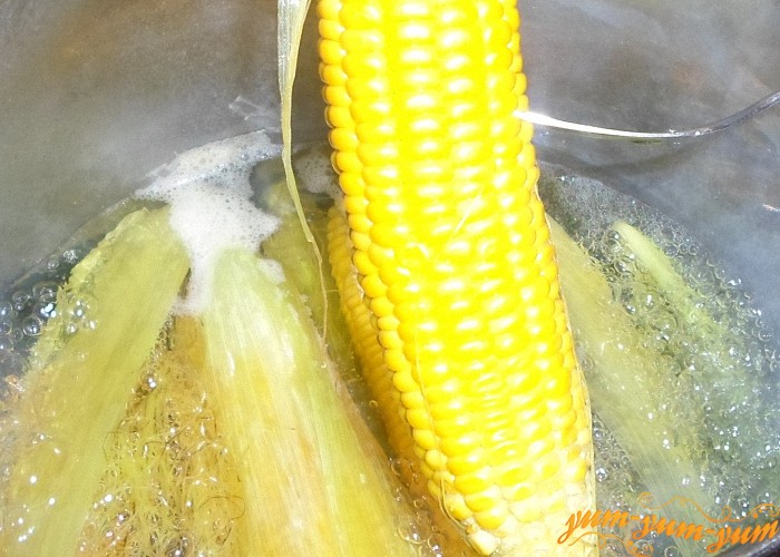Проверить готовности кукурузных зерен