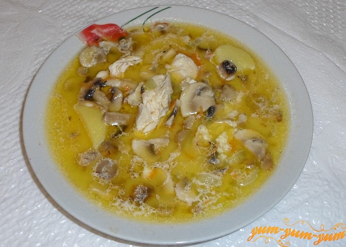 Рецепт сырного супа с курицей с фото и видео