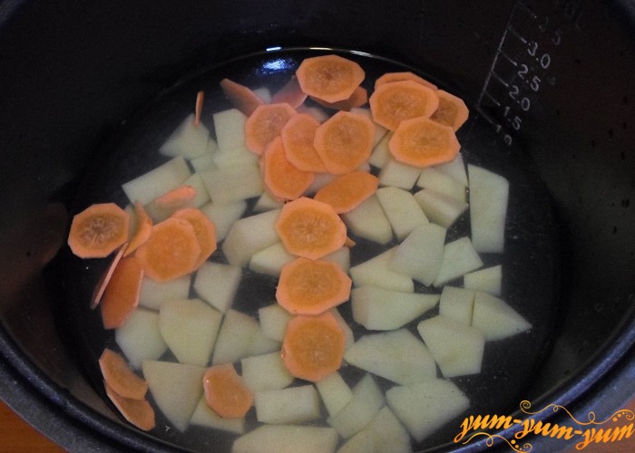 Морковь нарезать тонкими колечками и добавить в суп