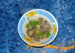 Рецепт супа из свежих лесных грибов